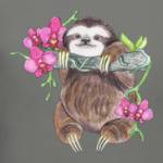 Веселый ленивец