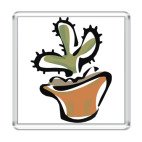 Кактус обыкновениус