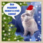 Все подарки лежат в этой сумке