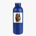 Термобутылка