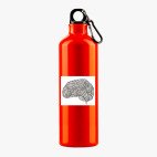 Металлическая бутылка 700 мл UV-DTF