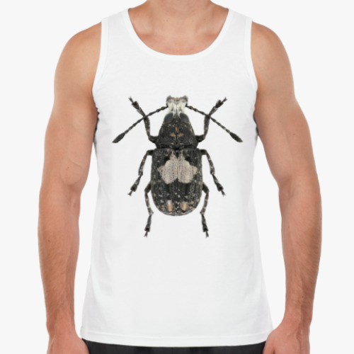 Майка с принтом Жук ложнослоник