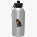 Спортивная бутылка