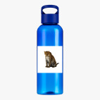 Прозрачная спортивная бутылка