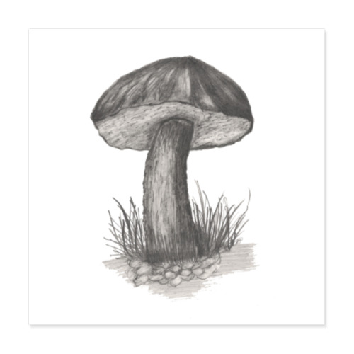 Виниловые наклейки Гриб