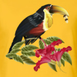 Красивая птица