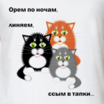 Котики