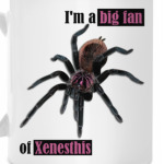 Xenesthis