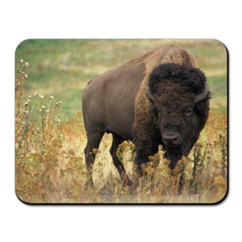 Коврик для мыши с принтом Могучий зубр