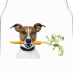  'Собака с морковкой'