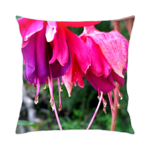 Подушка с принтом "Фуксия"