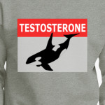 ТЕСТОСТЕРОН