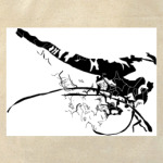 Впечатление Луны