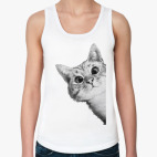 Любопытный котик