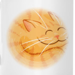 Котик Спящий