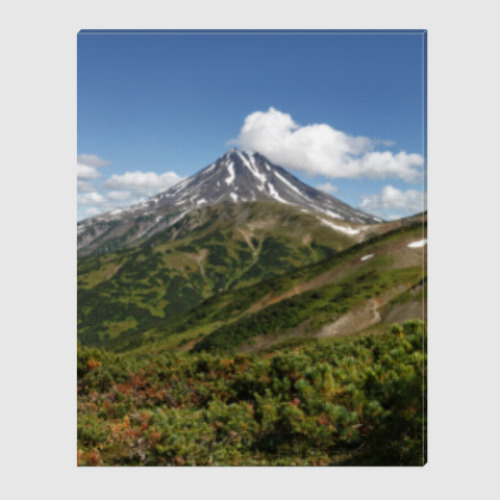 Холст Пейзаж полуострова Камчатка: лето, вулкан и горы