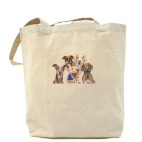 Холщовая сумка