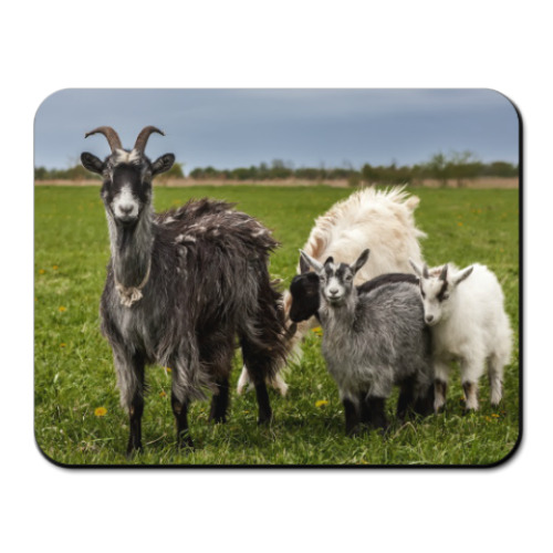 Коврик для мыши Козы в поле