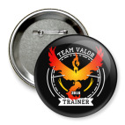 Значок 75 мм Покемоны. Team Valor