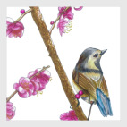 Серия: птицы