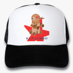 Кепки Trucker