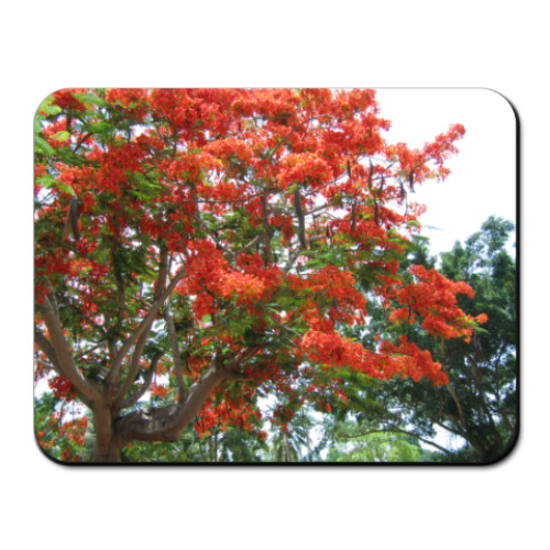 Коврик для мыши с принтом Таиланд