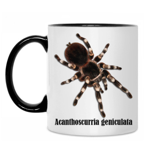 Кружка с принтом Geniculata