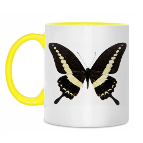 Кружка с принтом Бабочка