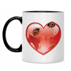 Божьи коровки