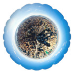 Planet Manhattan / New York