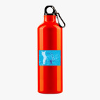 Металлическая бутылка 700 мл UV-DTF