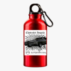 Металлическая бутылка 400 мл UV-DTF