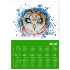 Совушка с голубыми глазами