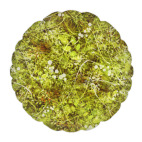 Лесные травы