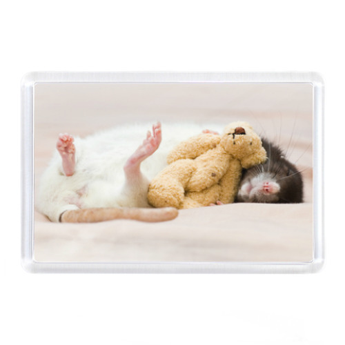 Магнит Rats Крысы Крыски