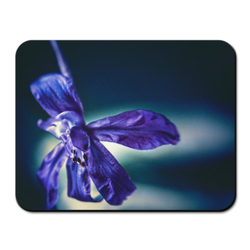 Коврик для мыши с принтом Дельфиниум
