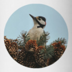 Дятел в шишках