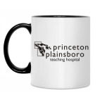 Princeton plainsboro