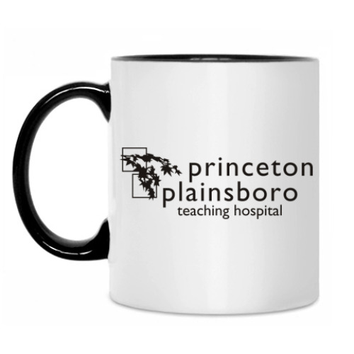 Кружка с принтом Princeton plainsboro