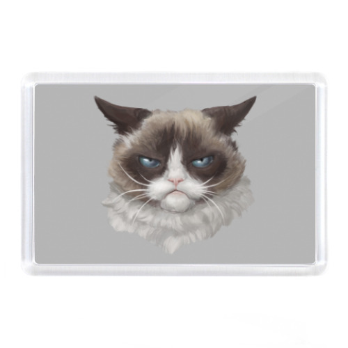 Магнит Grumpy Cat / Сердитый Кот