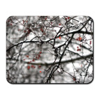 Зимние ягоды