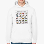 Толстовка худи