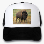 Кепки Trucker