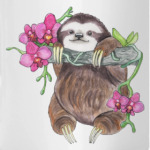 Веселый ленивец