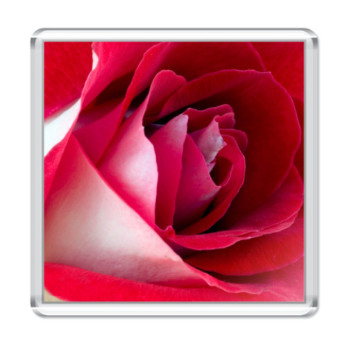 Магнит с принтом Розы