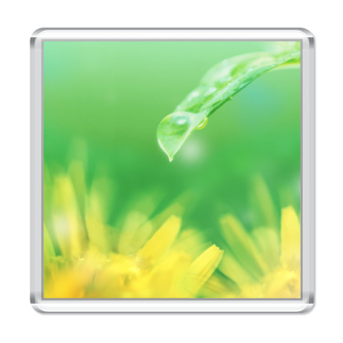 Магнит с принтом ЭКО