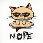 Недовольный кот ( Grumpy cat )