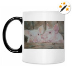 Кружка-хамелеон