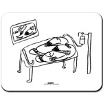 «Хаус и коматозник»