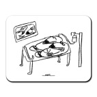 «Хаус и коматозник»